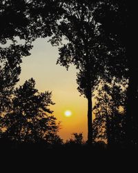 Silhouette trees against sky during sunset