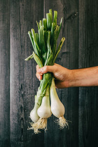 Close-up of hand holding vegetables