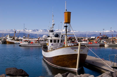 Sailboats moored in harbor