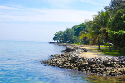 Scenic view of sea against sky