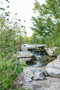 Rocks in pond