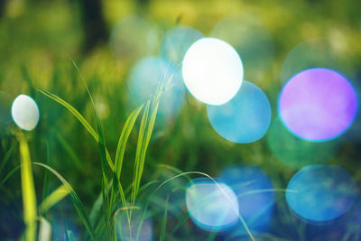 Defocused image of lights on field