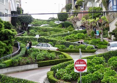 Road sign by trees in city