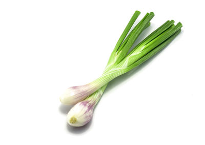 Close-up of green leaf against white background