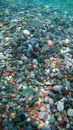 Full frame shot of pebbles at beach