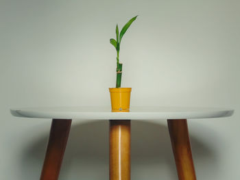 Close-up of potted plant on table against wall