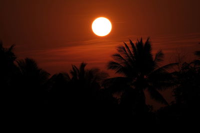 Silhouette tree against orange sky