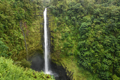 Scenic view of waterfall in forest