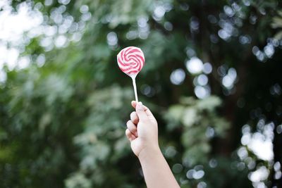 Close-up of hand holding ice cream cone against blurred background