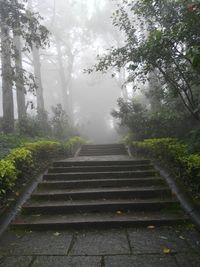 Steps amidst trees against sky