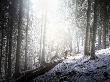 Male athlete running in forest during winter