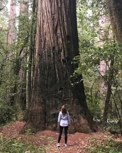 Rear view of woman walking in forest