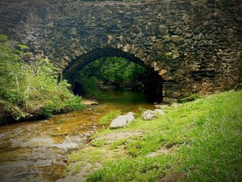 View of stream in forest