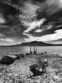 Driftwood at beach against sky