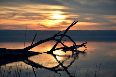 Silhouette bare tree by sea against orange sky