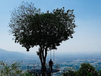 Tree by plants against sky