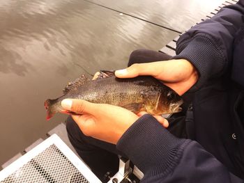 Midsection of man holding fish in water