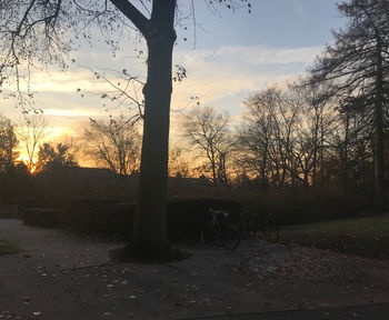 Silhouette trees on landscape against sky during sunset