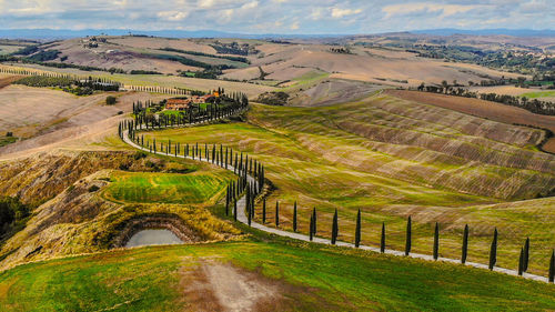 High angle view of agricultural field