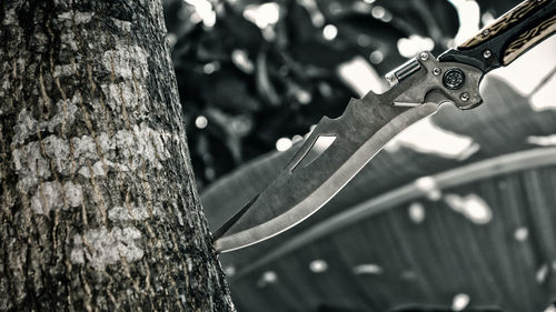 Close-up of bicycle hanging on tree trunk