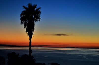 Silhouette palm tree by sea against romantic sky at sunset
