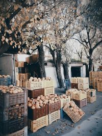 Fruits in crates for sale at street market