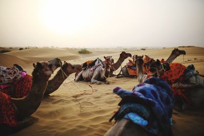 Group of people on sand at desert against sky