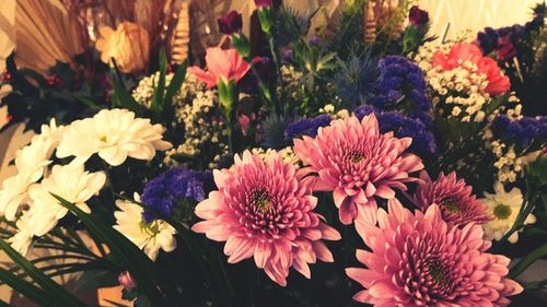 Close-up of multi colored flowers