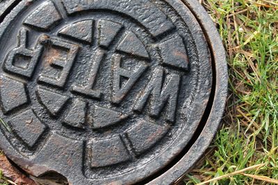 Close-up view of grass