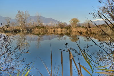 Scenic view of lake against clear sky