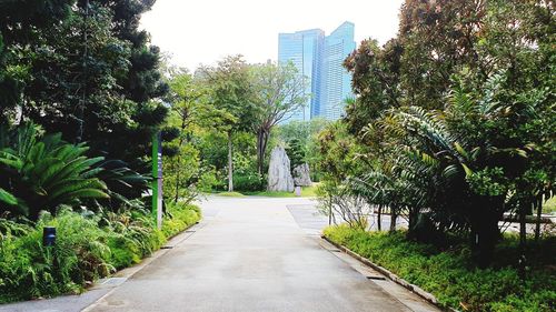 Road amidst trees in park against sky