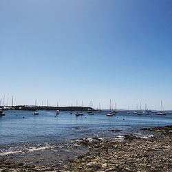 Boats moored at harbor