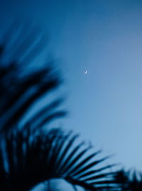 Low angle view of silhouette tree against blue sky