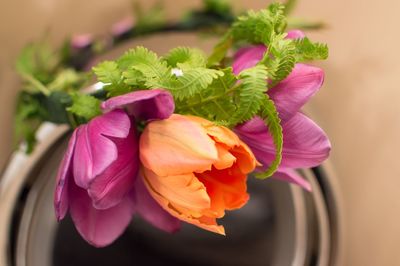 Close-up of pink flowers