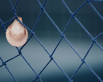 Close-up of chainlink textured fence