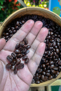 Close-up of hand holding coffee beans