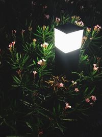 High angle view of illuminated lamp at night