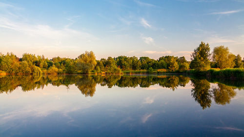 Scenic view of lake by trees against sky