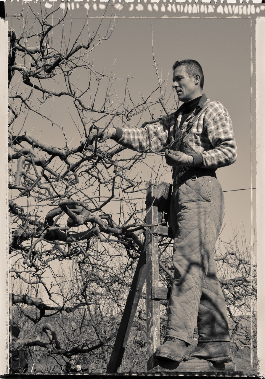 PORTRAIT OF WOMAN STANDING AGAINST BARE TREE