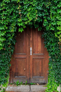 Close-up of closed door