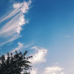 Low angle view of trees against cloudy sky