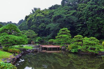 Scenic view of lake by trees