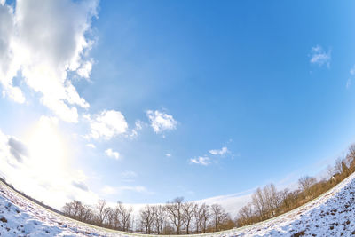 Snow covered land and trees against sky