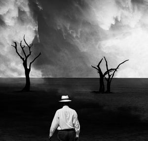 Rear view of man on bare tree against sky