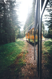 Train on railroad track amidst trees against sky