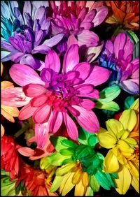 Close-up of flowers blooming outdoors