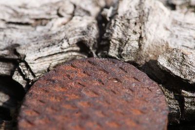 Detail shot of rusty metal