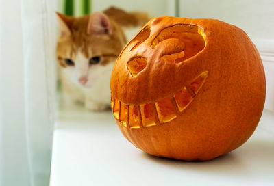 The cheshire cat shape carved pumpkin with out of focus red cat sitting in the background.