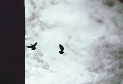 Low angle view of airplane flying against cloudy sky