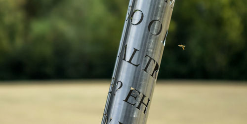 Close-up of text on tree